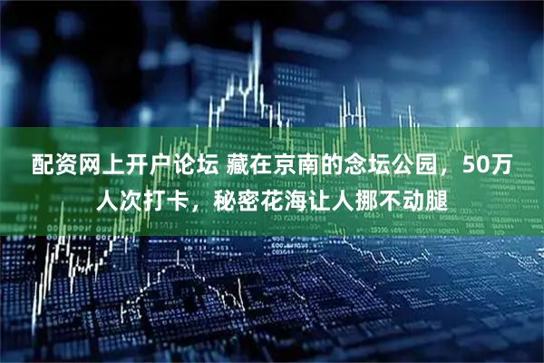 配资网上开户论坛 藏在京南的念坛公园，50万人次打卡，秘密花海让人挪不动腿