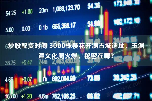 炒股配资时间 3000株樱花开满古城遗址，玉渊潭文化周火爆，秘密在哪？