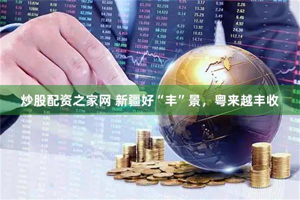 炒股配资之家网 新疆好“丰”景，粤来越丰收