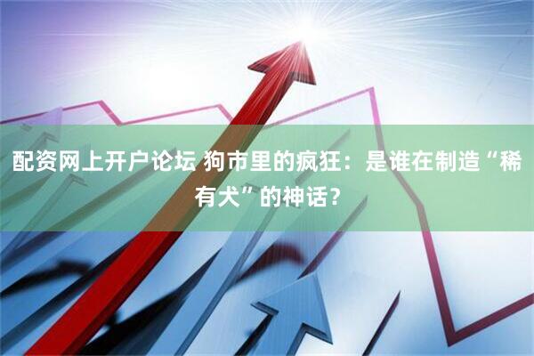 配资网上开户论坛 狗市里的疯狂：是谁在制造“稀有犬”的神话？